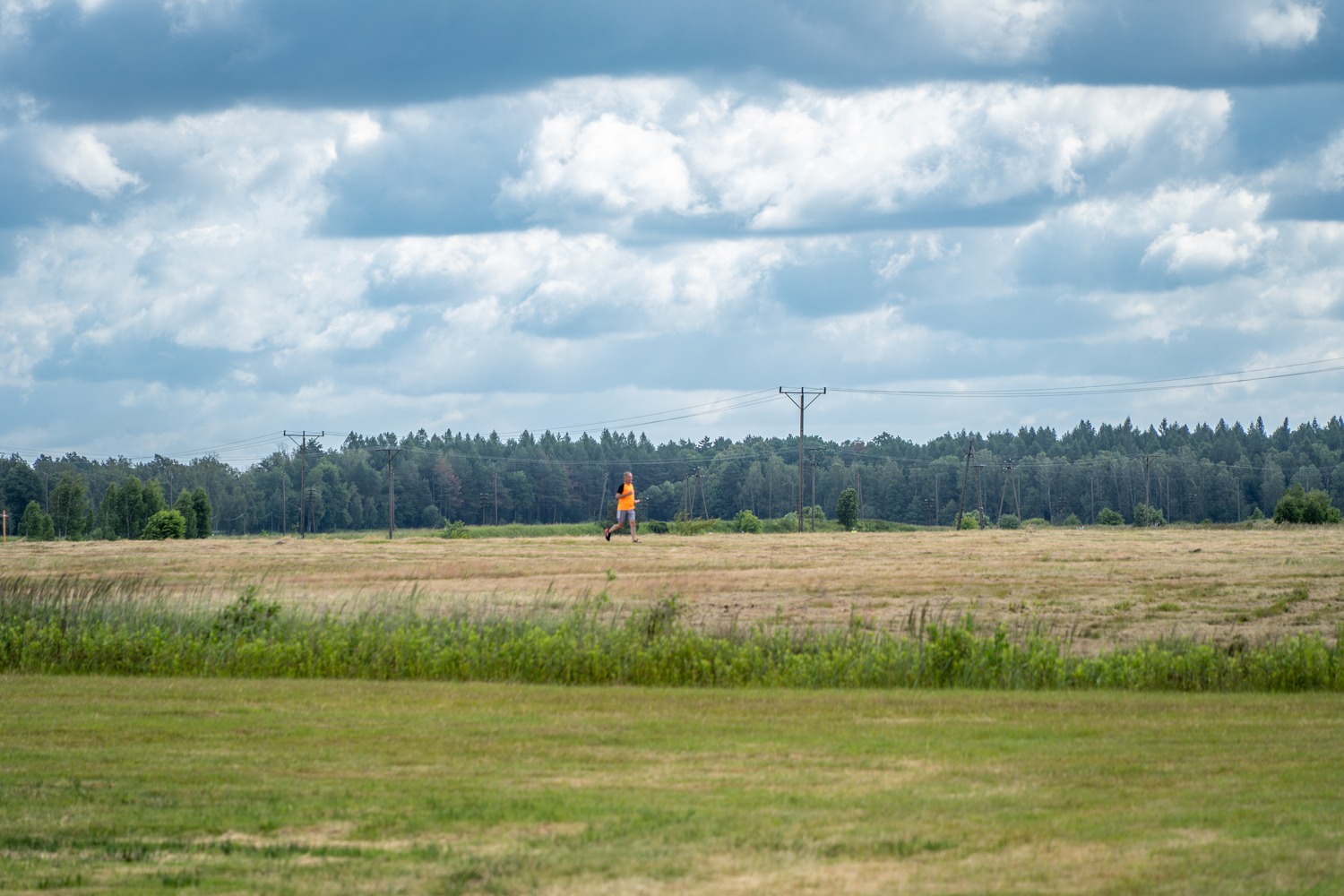 Roztoczański Festiwal Biegowy